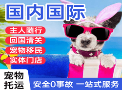 湿地机场邮寄国际宠物托运 【国
